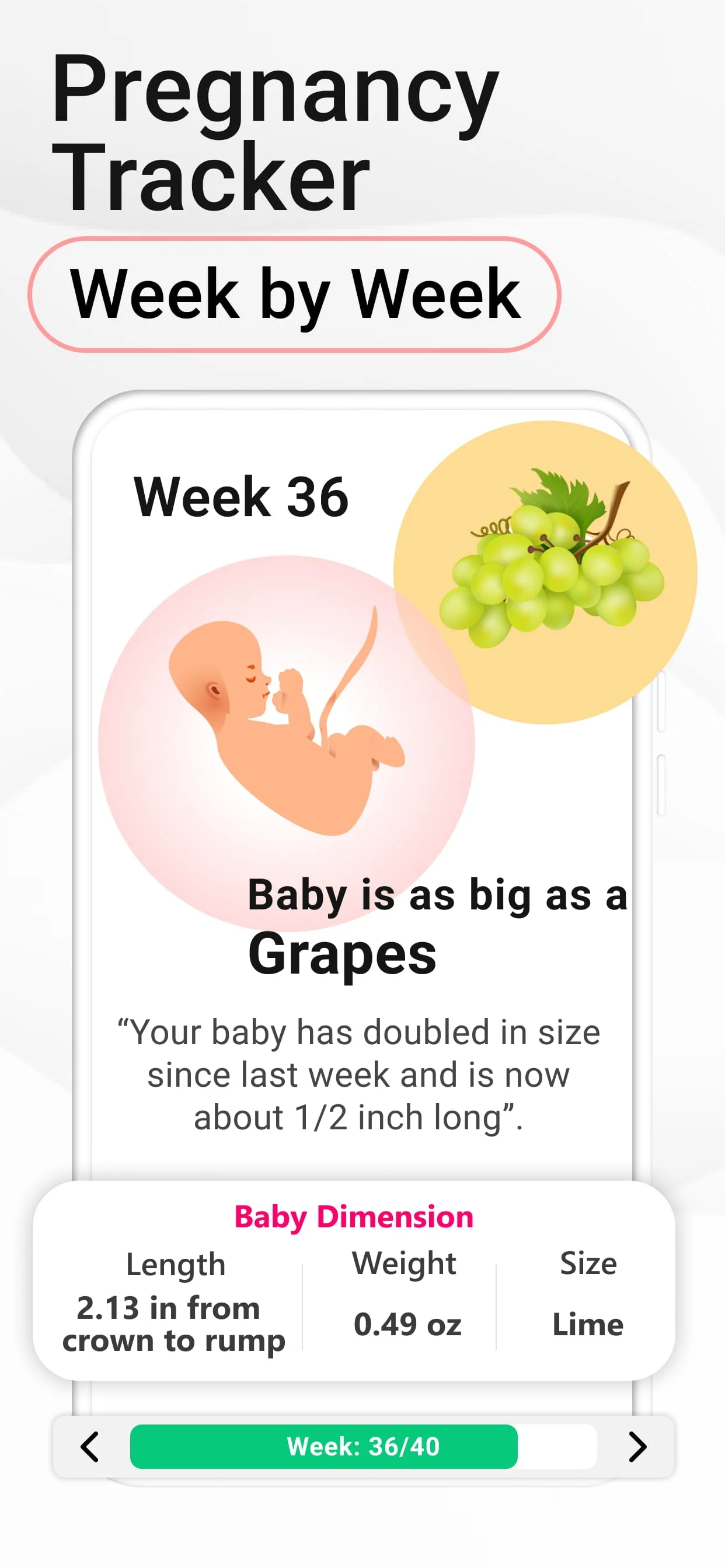 Pregnancy Calculator: Due Date Screenshot 2