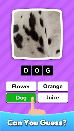 Zoom Quiz: Close Up Pics Game Screenshot 2