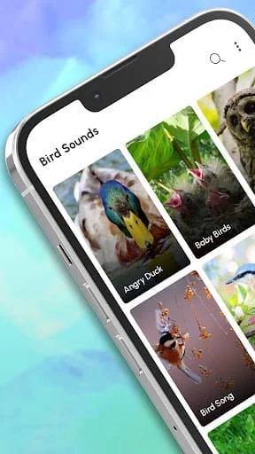 Bird Calls, Sounds & Ringtones Screenshot 1