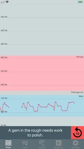 Voice Tools Screenshot 2