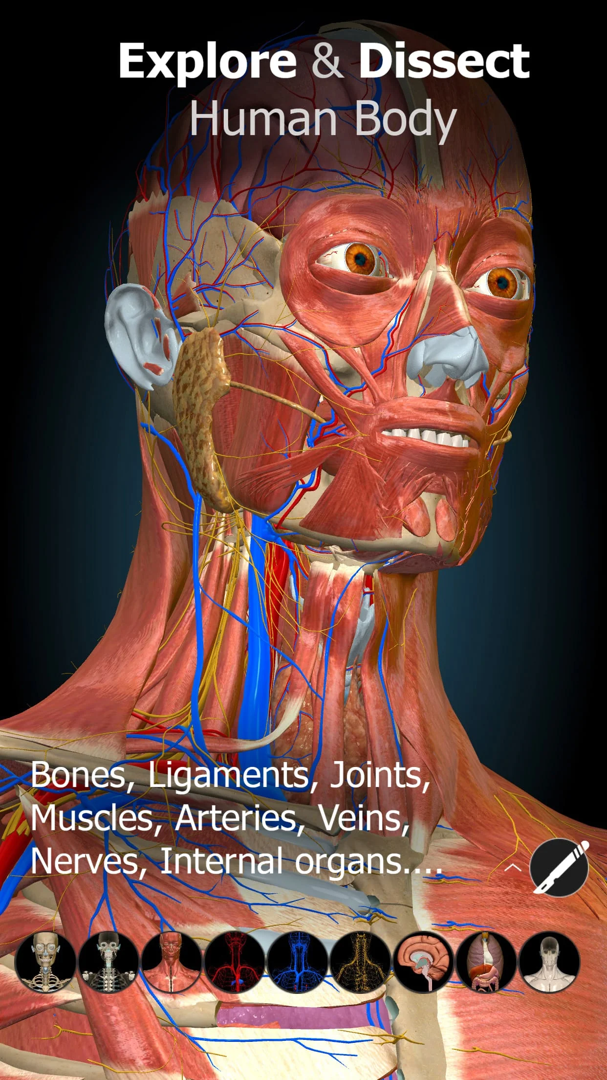 Anatomy Learning - 3D Anatomy Screenshot 1