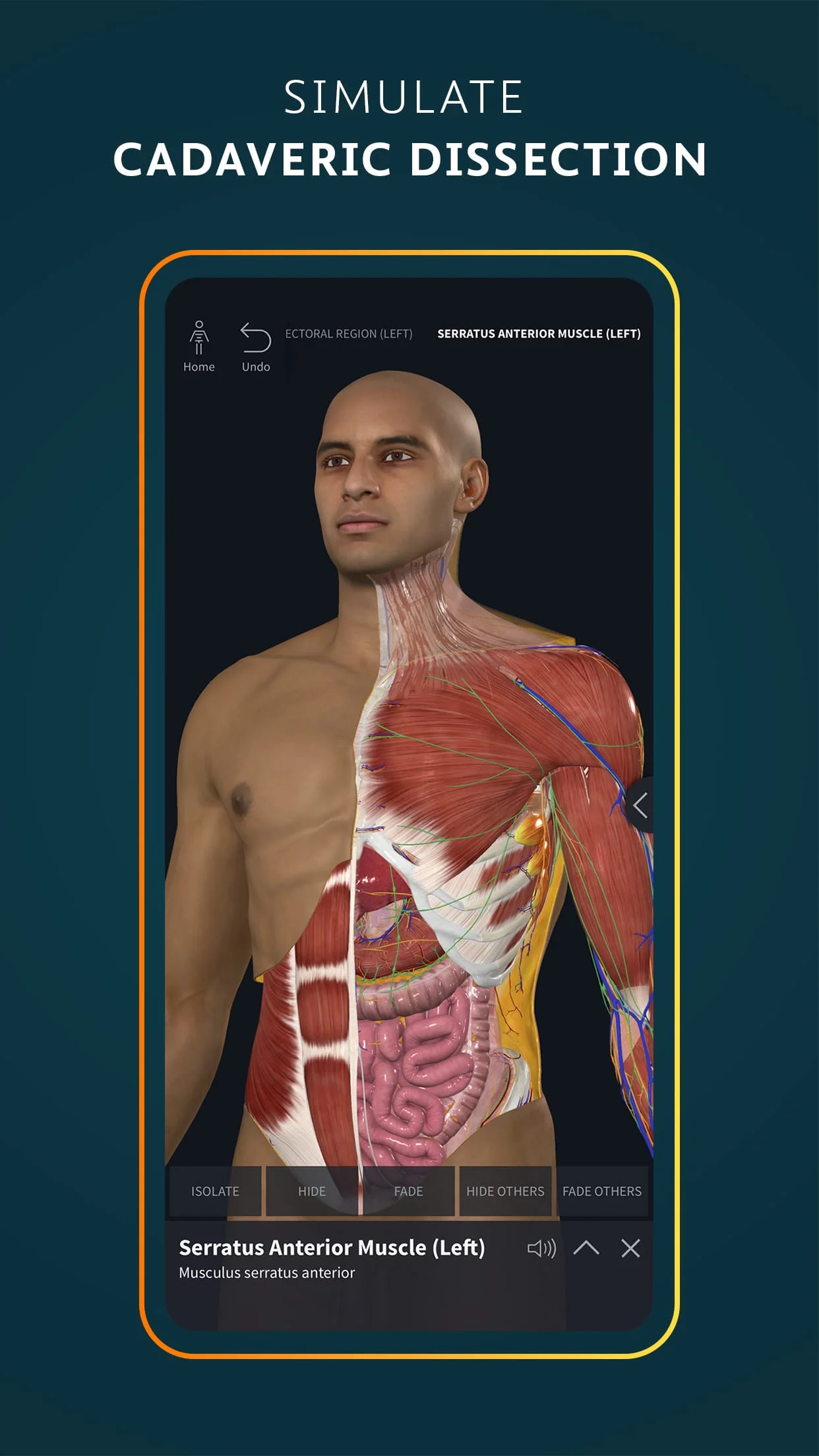 Complete Anatomy 2024 Screenshot 2