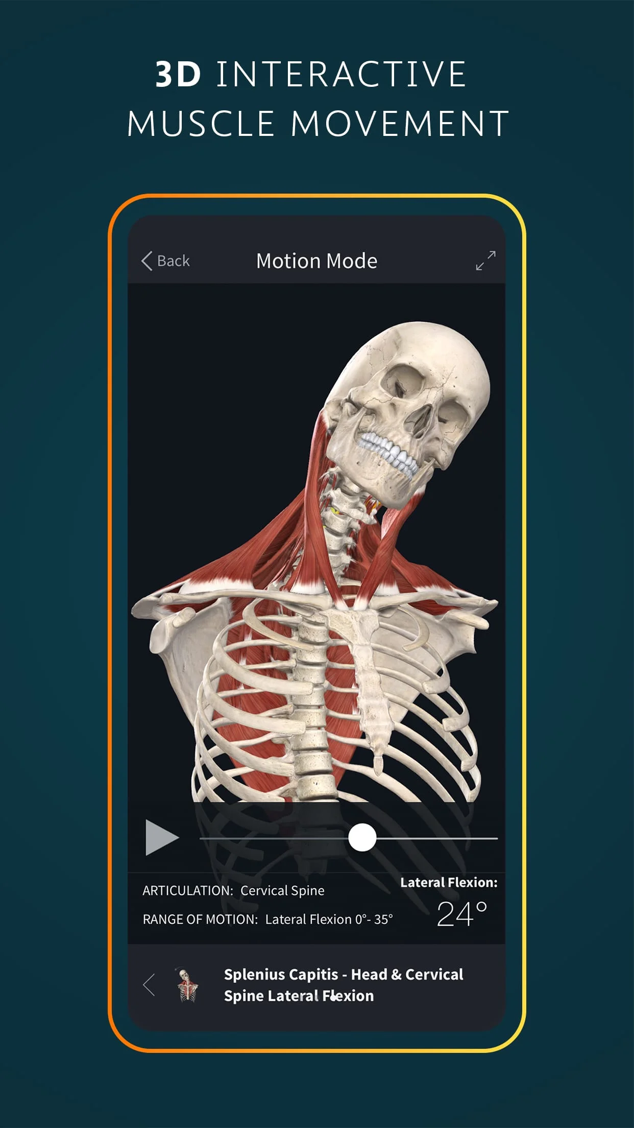 Complete Anatomy 2024 Screenshot 3