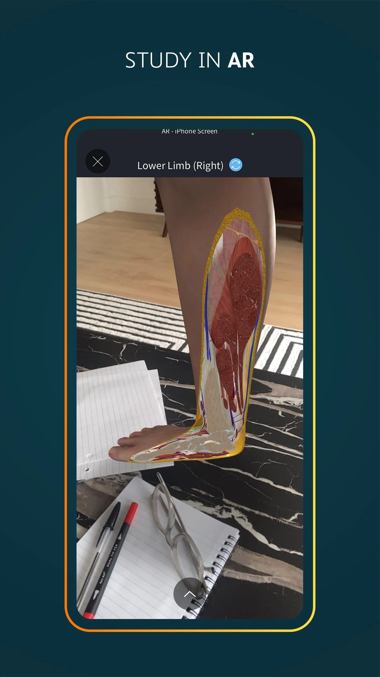 Complete Anatomy 2024 Screenshot 4