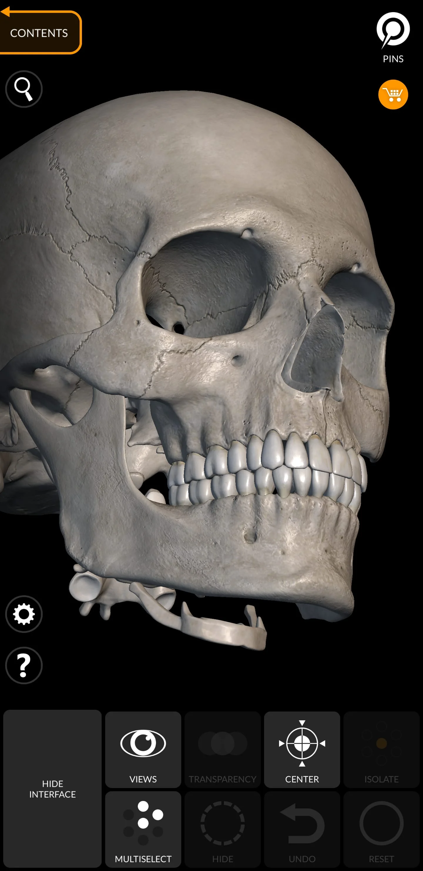 Skeleton | 3D Anatomy Screenshot 4