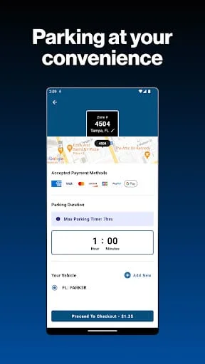 717 Parking Screenshot 2