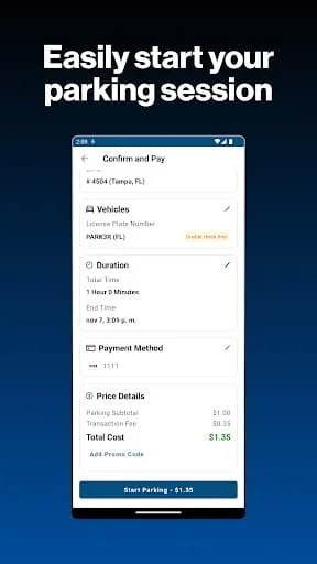 717 Parking Screenshot 3