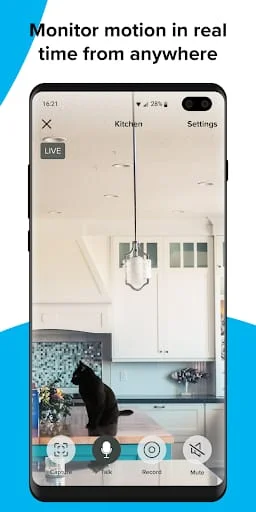 Momentum Screenshot 3