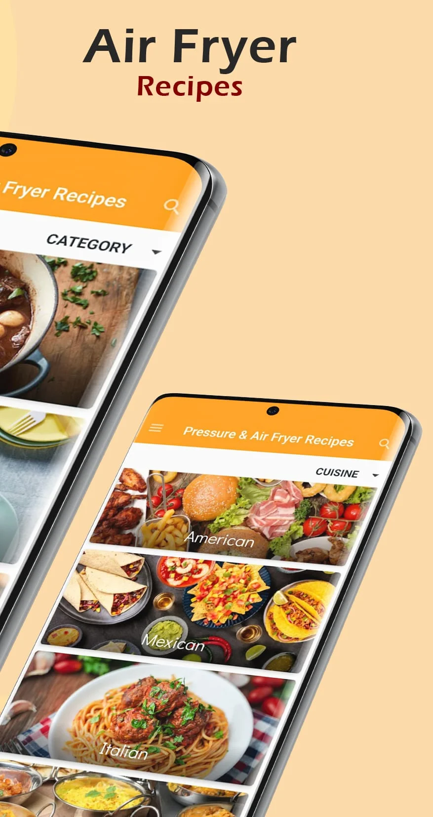 Instant Pot/Air Fryer Recipes Screenshot 2