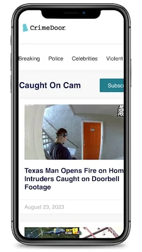 CrimeDoor Screenshot 3