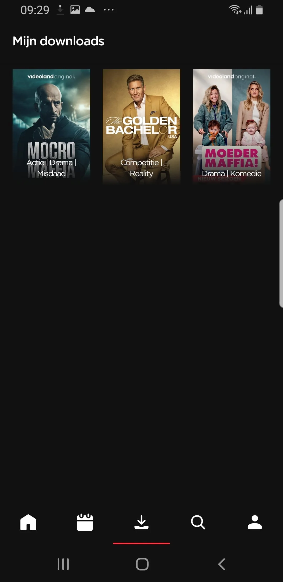 Videoland Screenshot 4