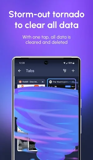 InBrowser - Incognito Browsing Screenshot 2