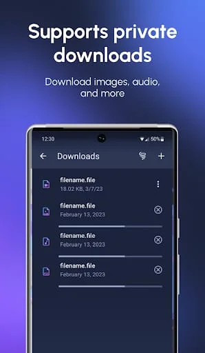 InBrowser - Incognito Browsing Screenshot 4