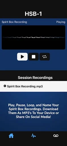 HOPE Spirit Box (HSB-1) Screenshot 3