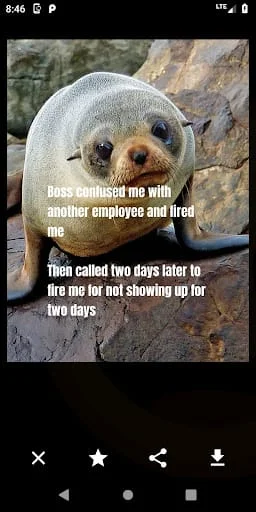 Funny Laughs LOL! - Daily Fun Screenshot 3