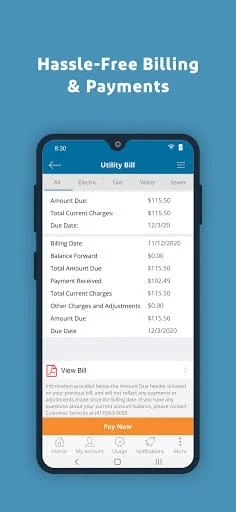 City Utilities – My Account Screenshot 3