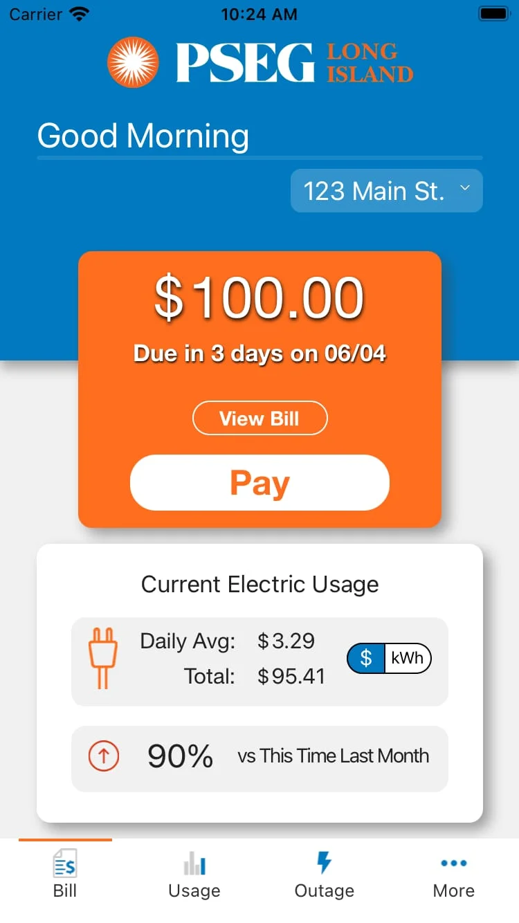 PSEG Long Island Screenshot 2