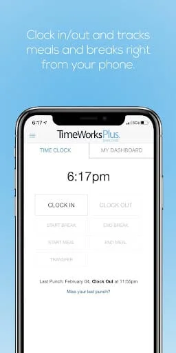 TimeWorksPlus Employee Screenshot 1