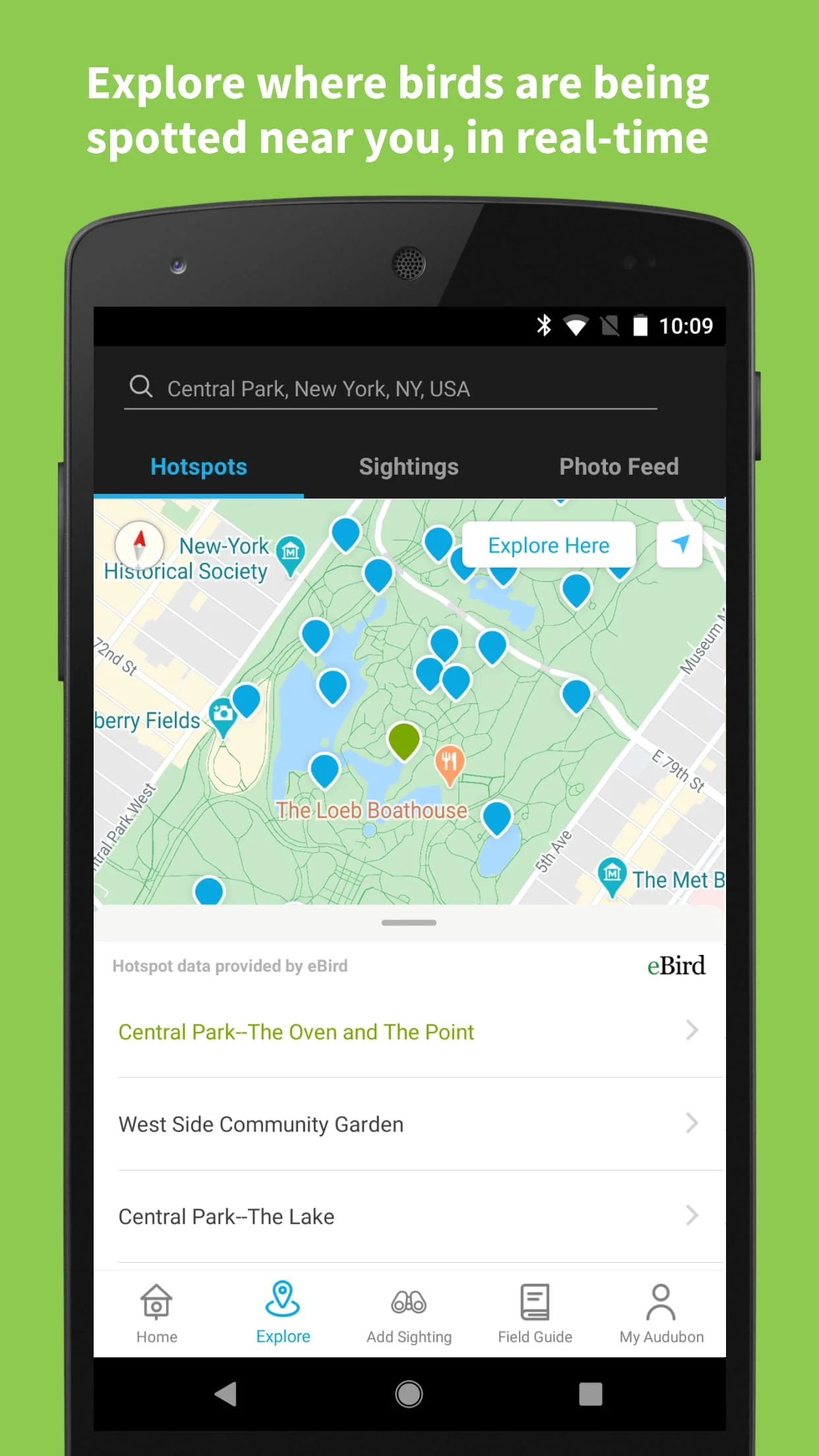 Audubon Bird Guide Screenshot 4