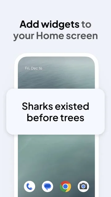 Daily Random Facts Screenshot 3