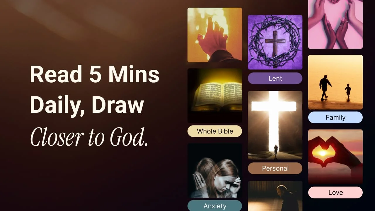 Bible Offline-KJV Holy Bible Screenshot 3