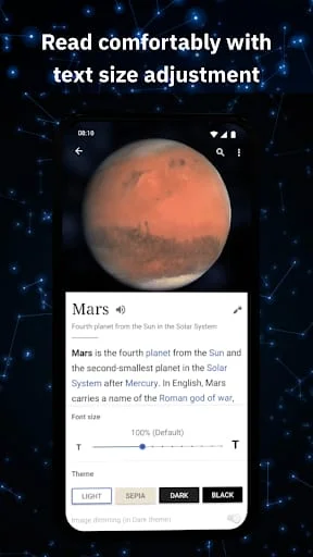 Wikipedia Screenshot 4