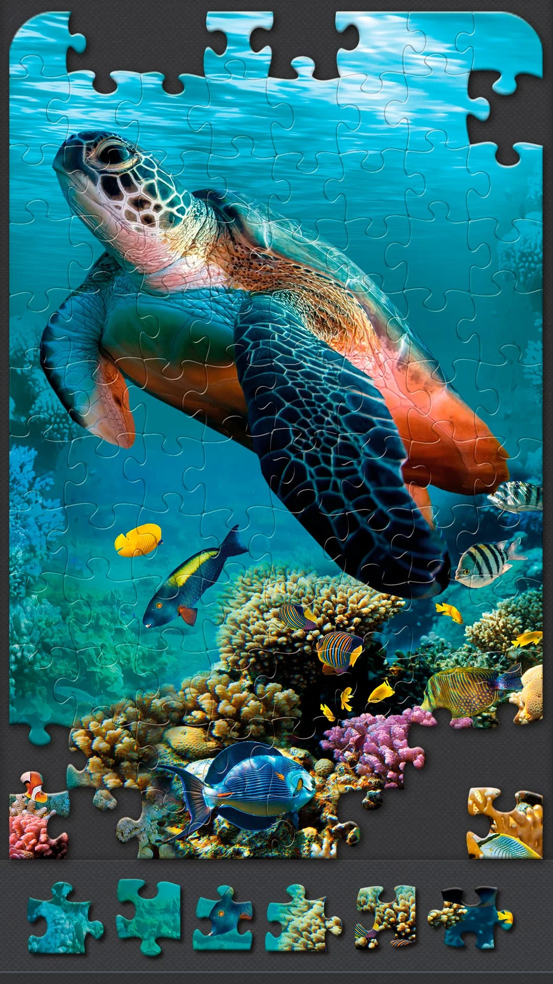 Jigsaw Puzzles for Adults Screenshot 1