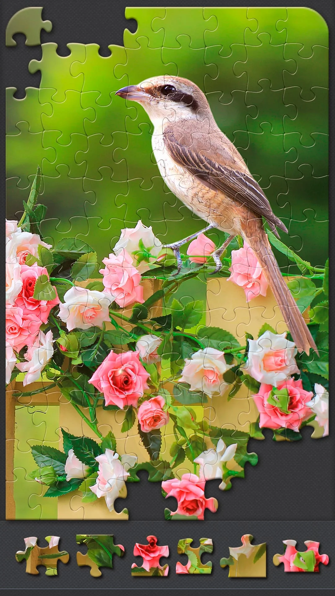Jigsaw Puzzles for Adults Screenshot 3