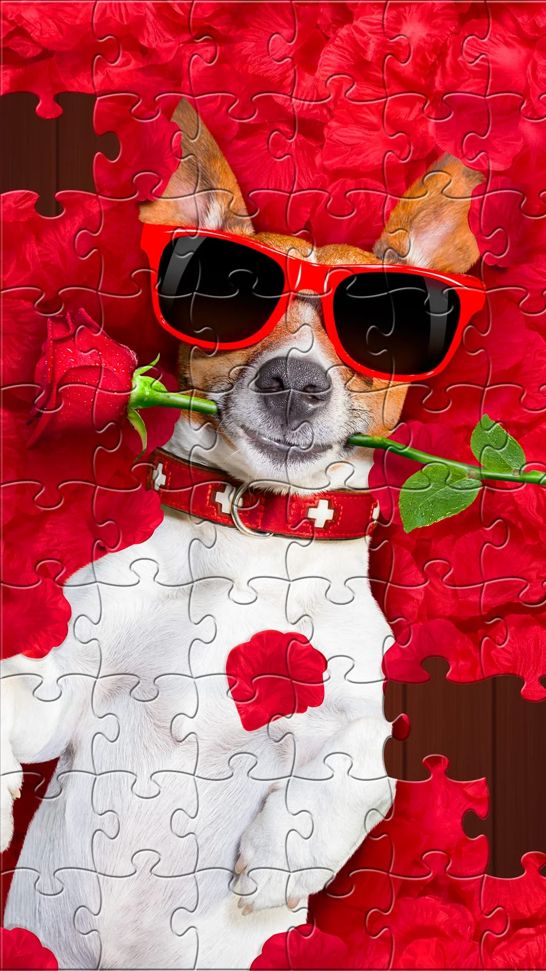 Jigsaw Puzzles Explorer Screenshot 4