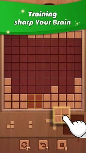 Block Sudoku Screenshot 4