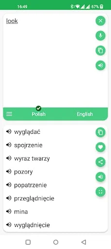 Polish - English Translator Screenshot 3