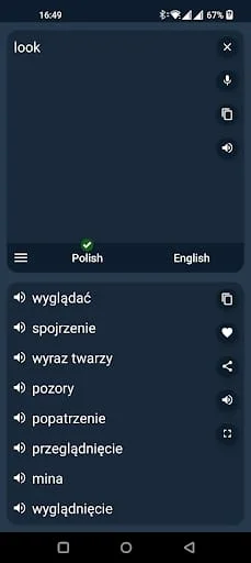 Polish - English Translator Screenshot 4