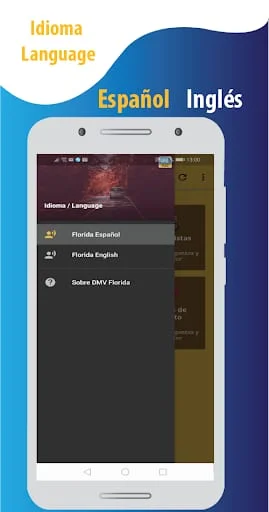 Driving test simulator FL Screenshot 3