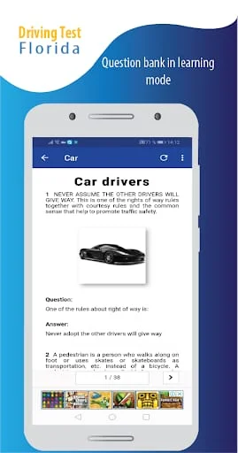 Driving test simulator FL Screenshot 4