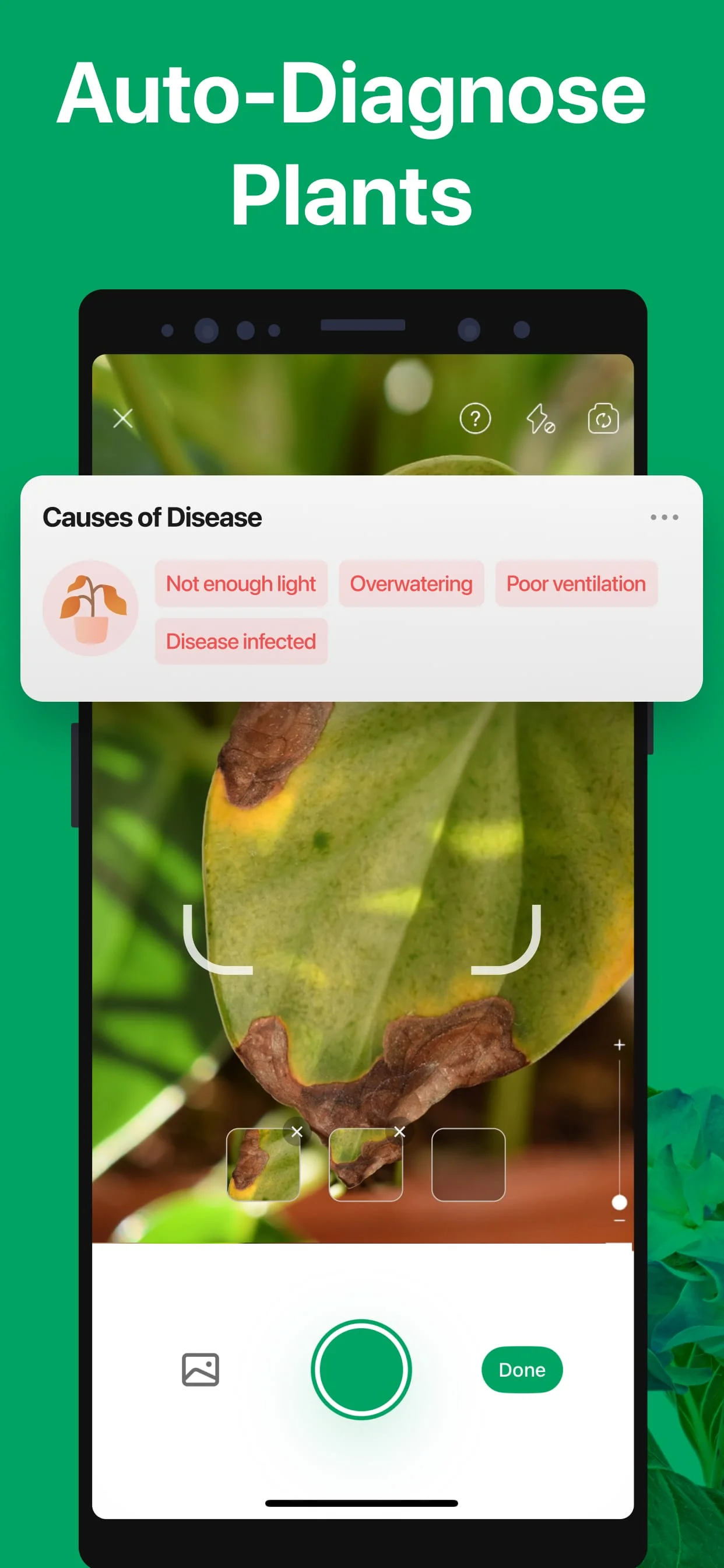 PictureThis - Plant Identifier Screenshot 4