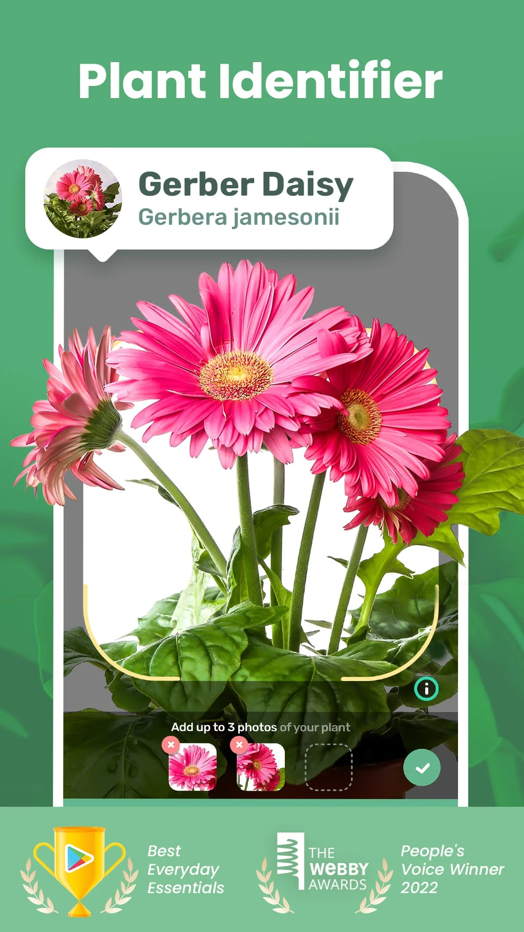 Blossom - Plant Identifier Screenshot 1