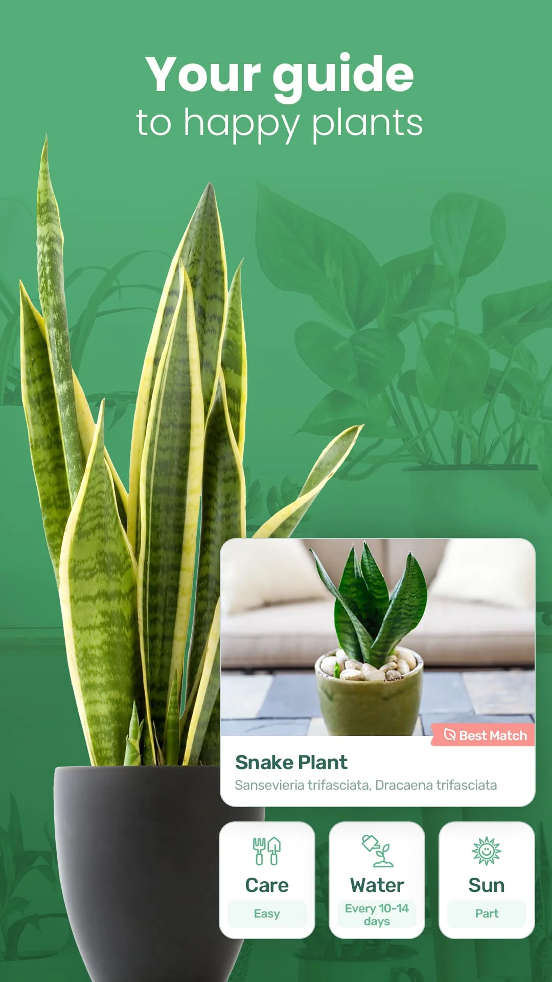 Blossom - Plant Identifier Screenshot 2