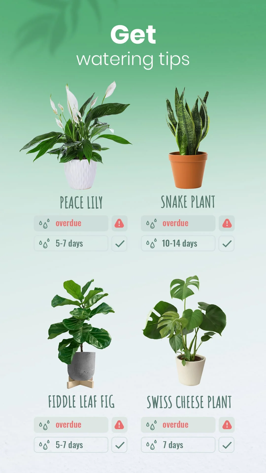 Blossom - Plant Identifier Screenshot 4