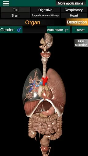 Internal Organs in 3D Anatomy Screenshot 1