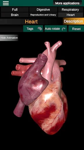 Internal Organs in 3D Anatomy Screenshot 3