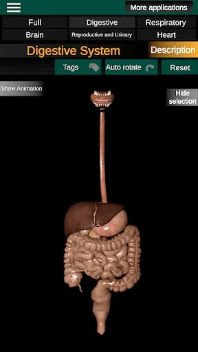 Internal Organs in 3D Anatomy Screenshot 4