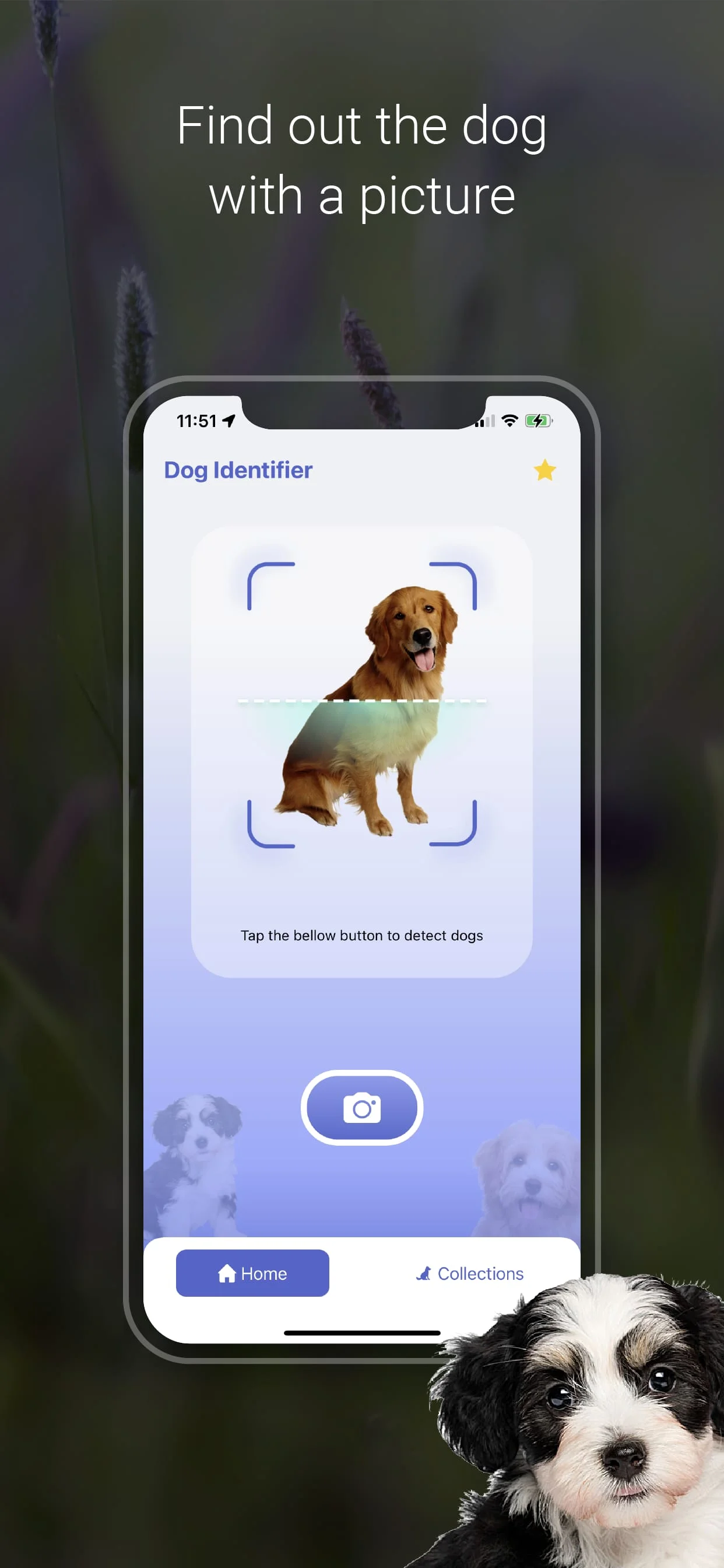 Dog Scanner: Breed Identifier Screenshot 3