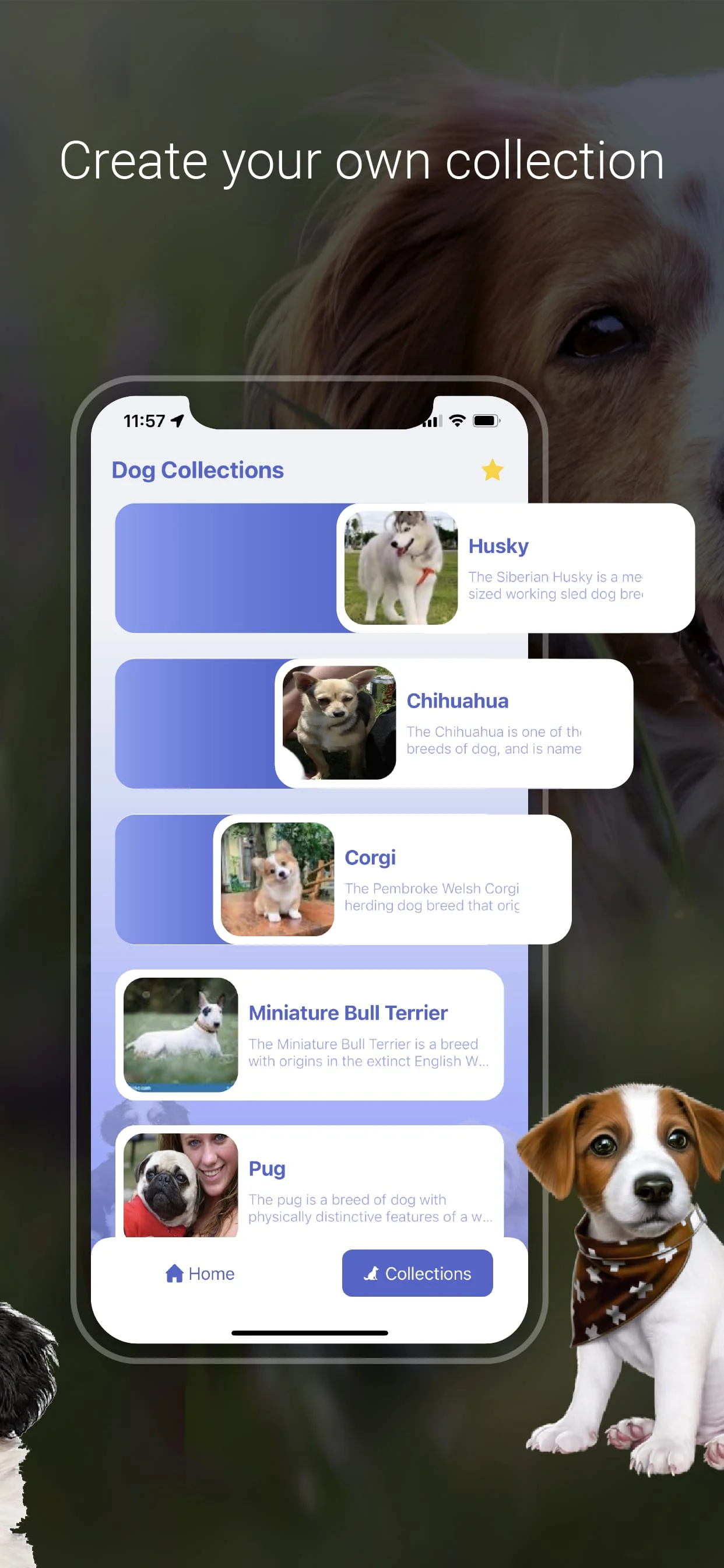 Dog Scanner: Breed Identifier Screenshot 4