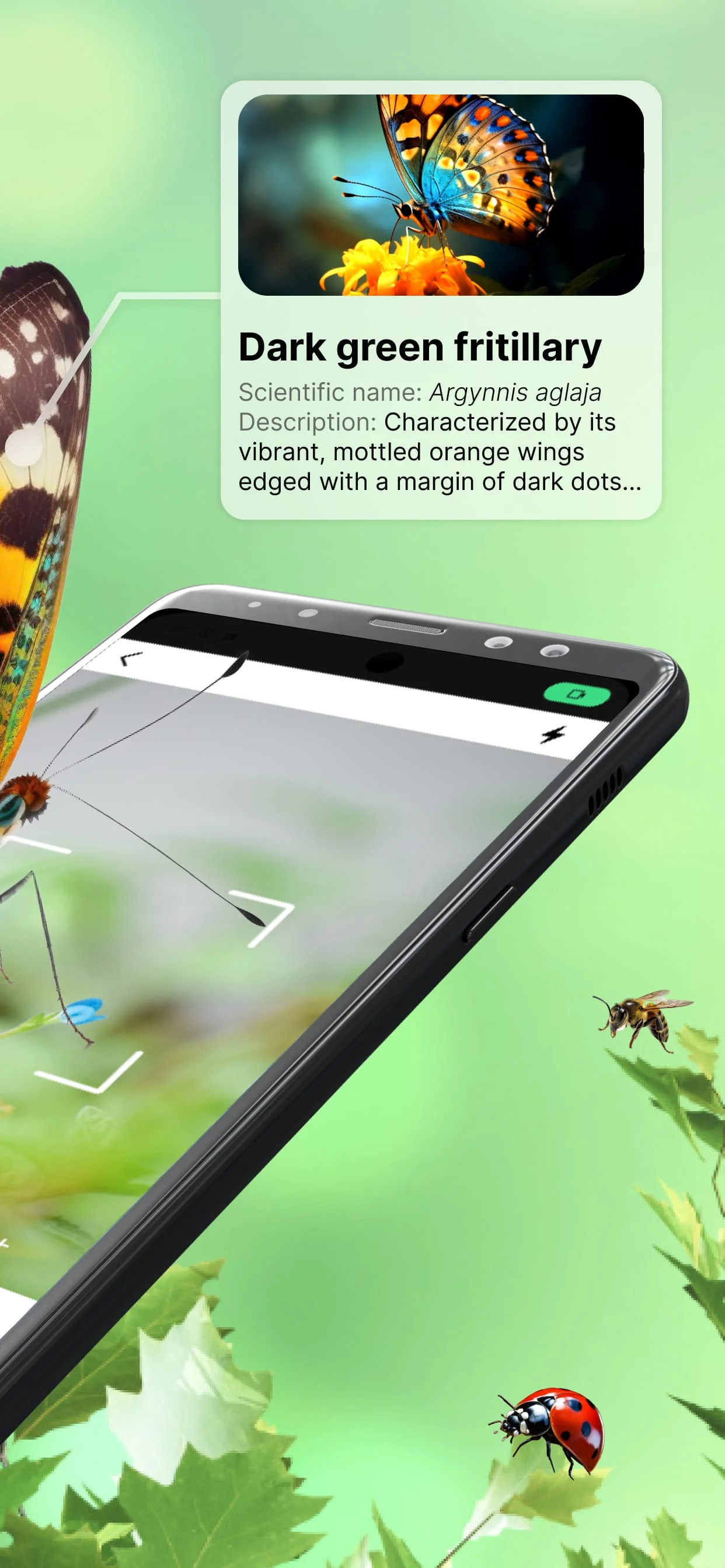 Bug Identifier Bug Finder Screenshot 2