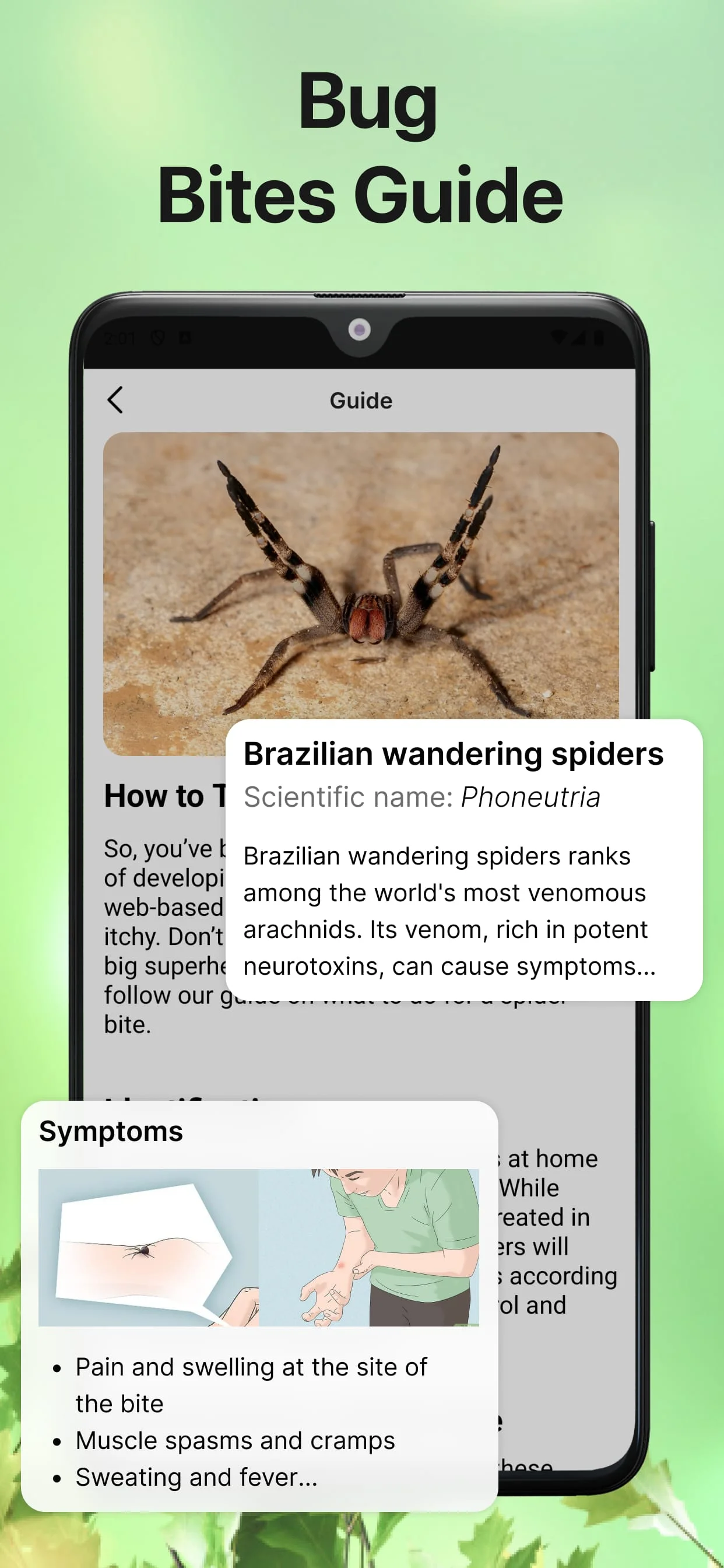 Bug Identifier Bug Finder Screenshot 4