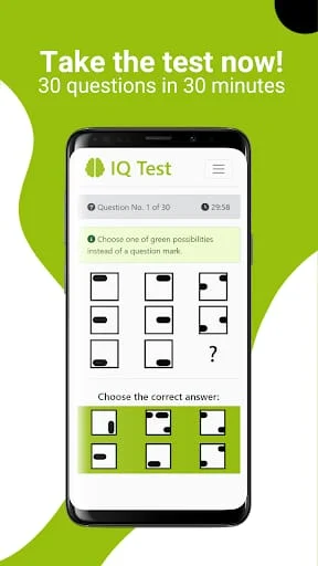 IQ Test - Intelligence Test Screenshot 2