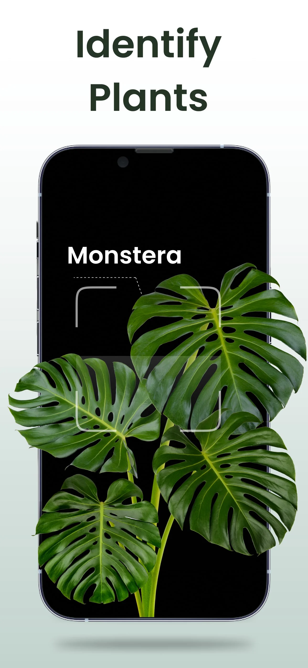 Plant Identifier: Plantiary Screenshot 1