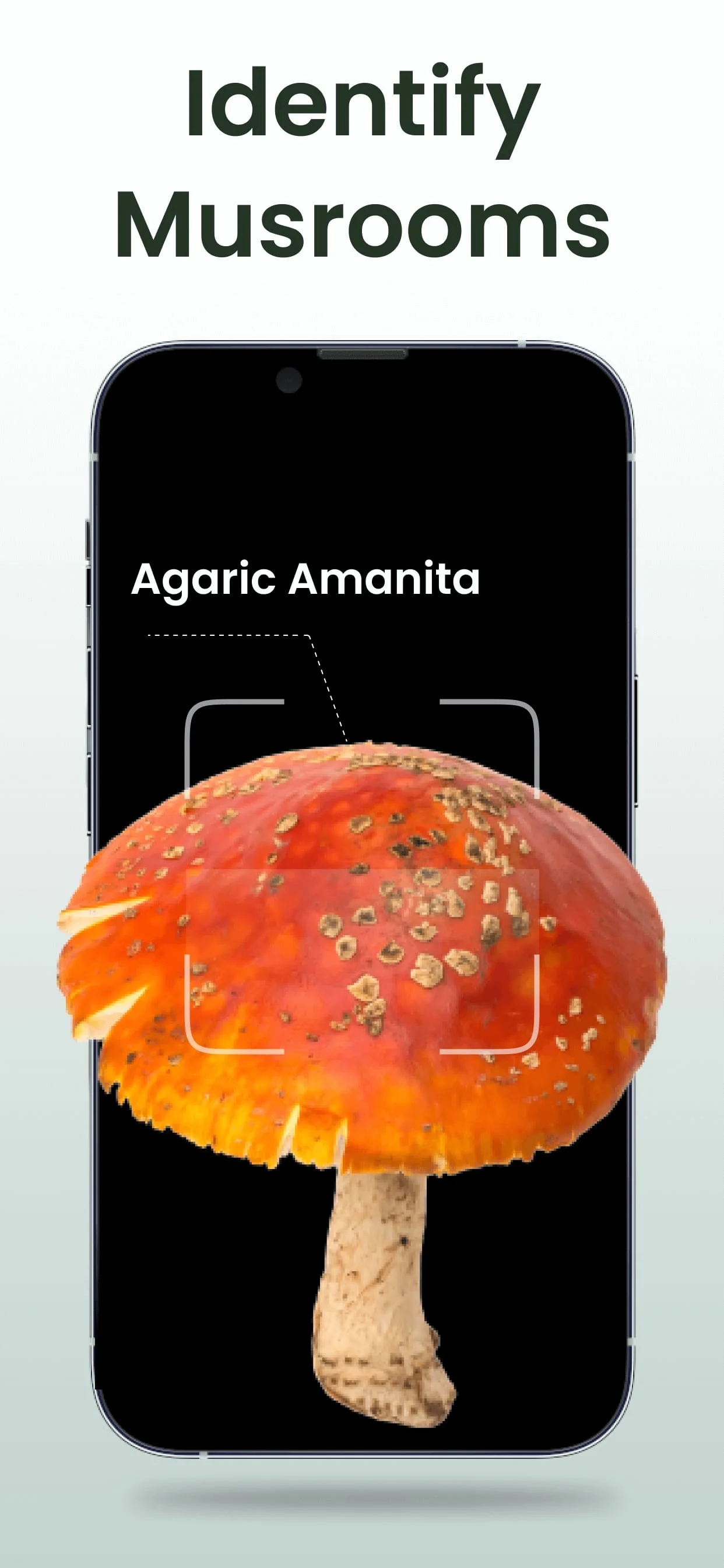 Plant Identifier: Plantiary Screenshot 2