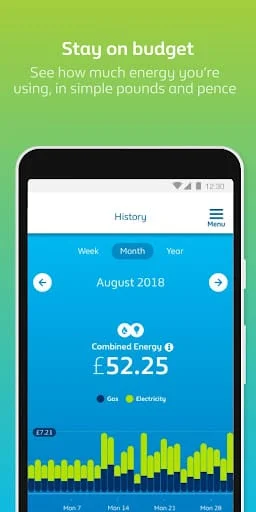 British Gas Screenshot 3