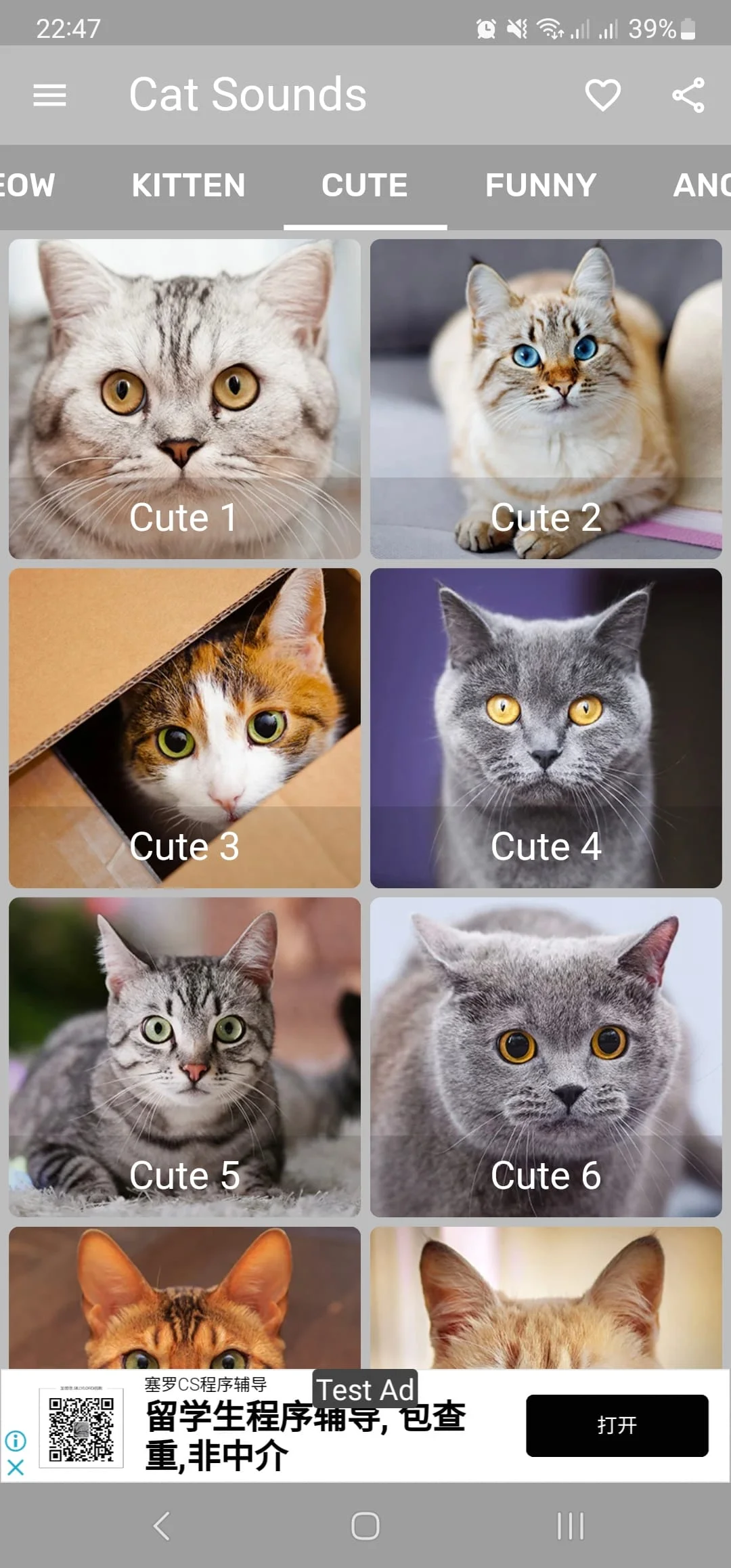 Cat Sounds - Meow Noises Screenshot 2